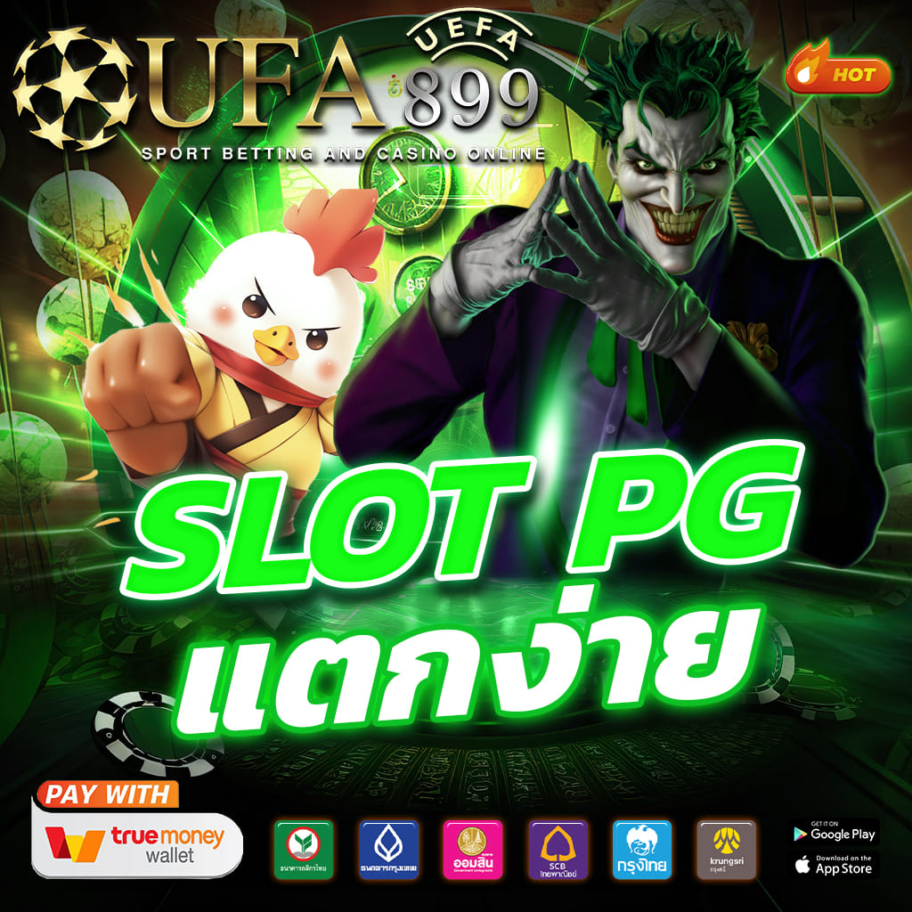 ไม่พบรูปภาพ