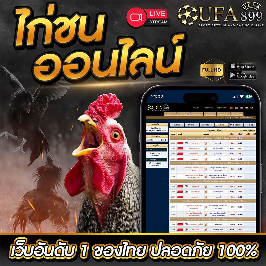 ไม่พบรูปภาพ