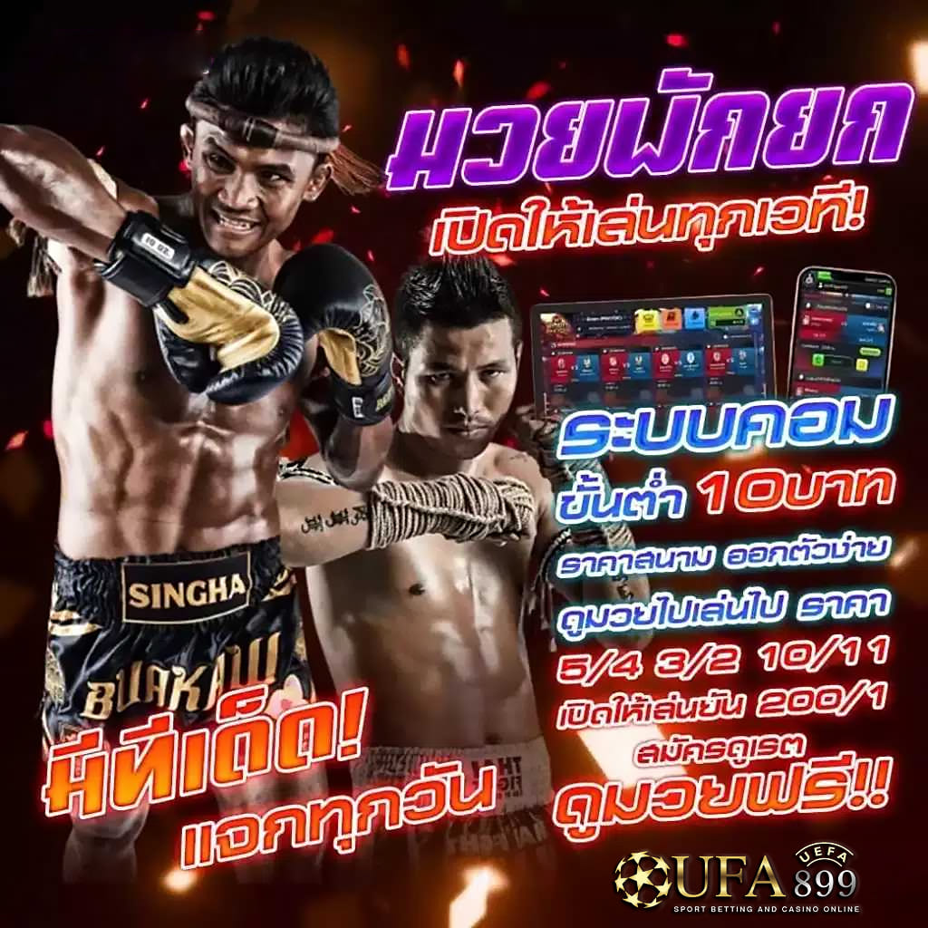 ไม่พบรูปภาพ